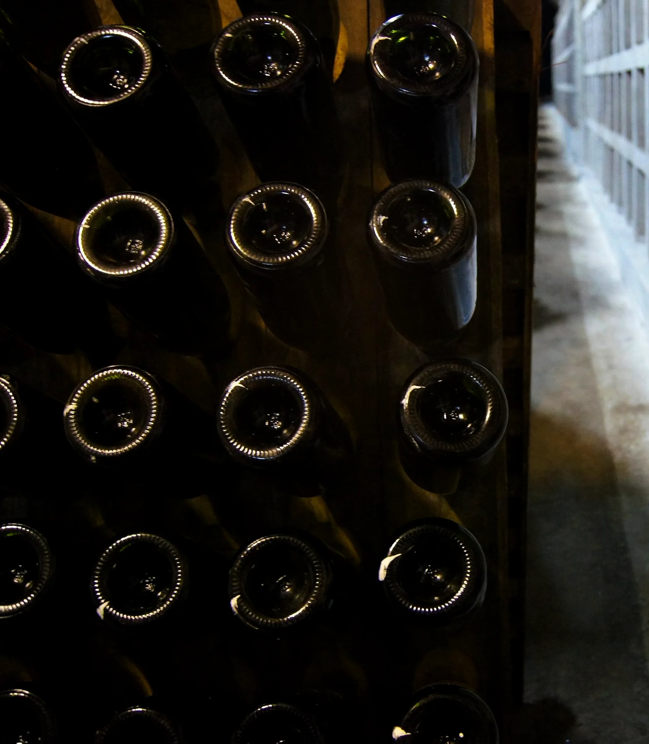 Le bottiglie a riposo nella cantina, i fondi verso la luce