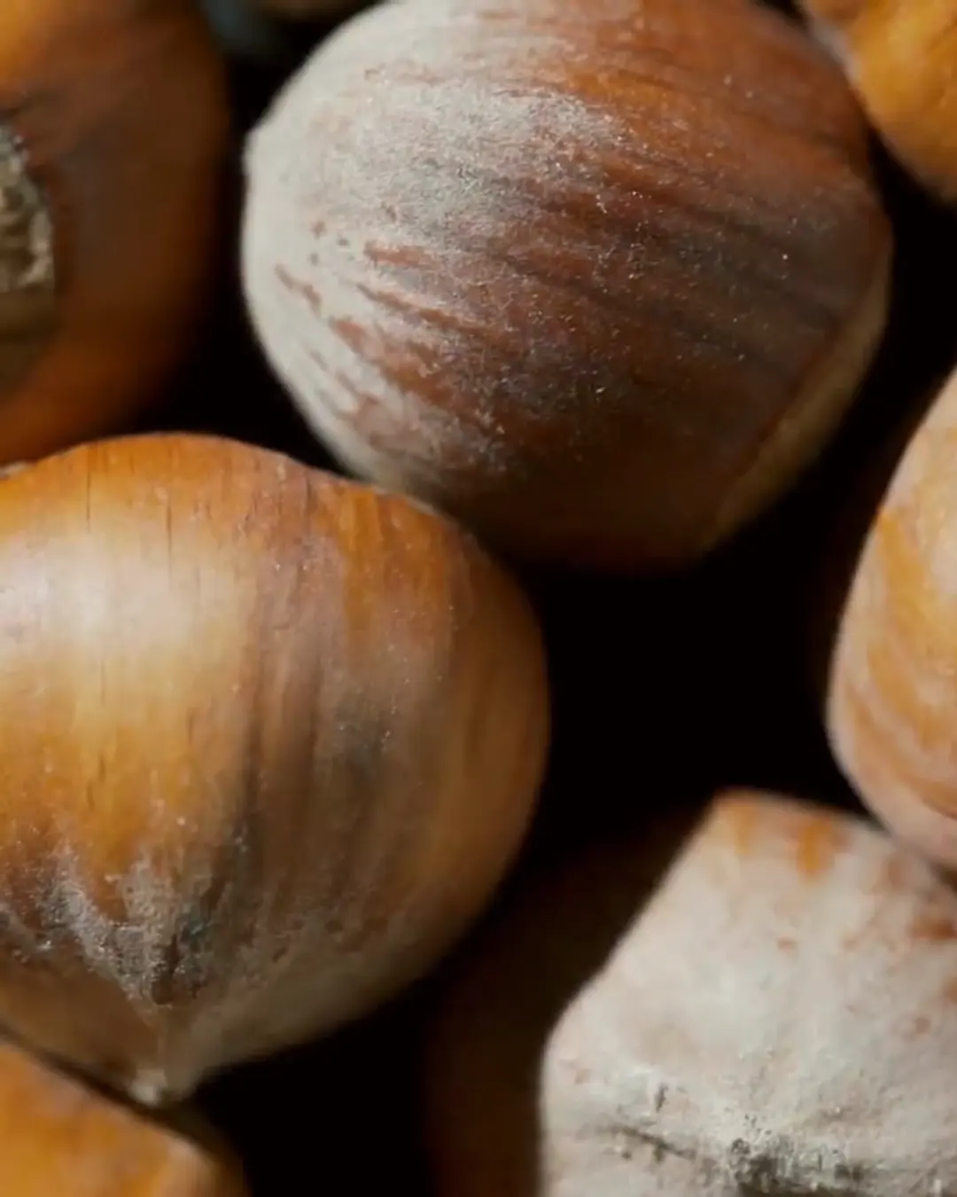 Nocciole con il guscio, un mucchio